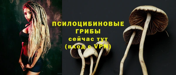 кристаллы Алзамай