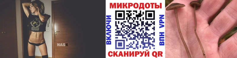 Псилоцибиновые грибы прущие грибы  Юрьевец 